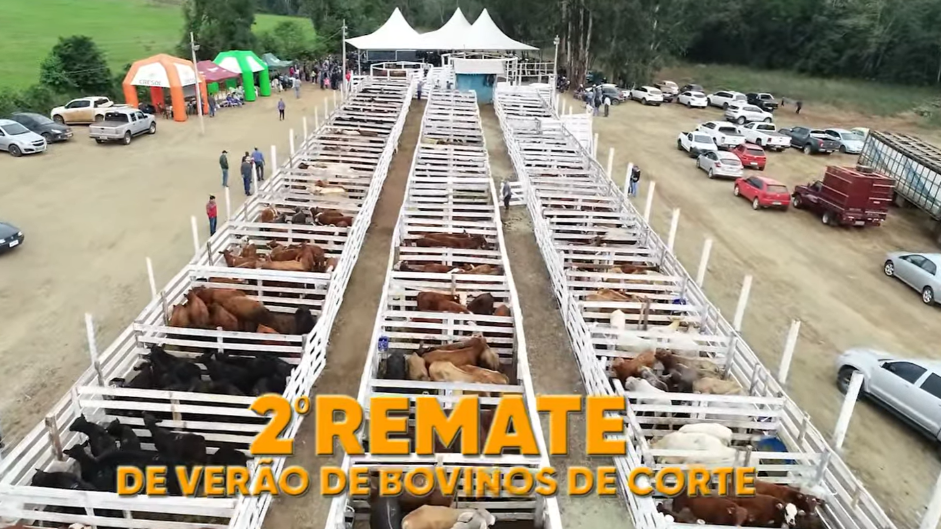 https://www.auonline.com.br/upload/noticias/2025/03/md_343a397f75d3e42a279ae0f2db0e6064.png