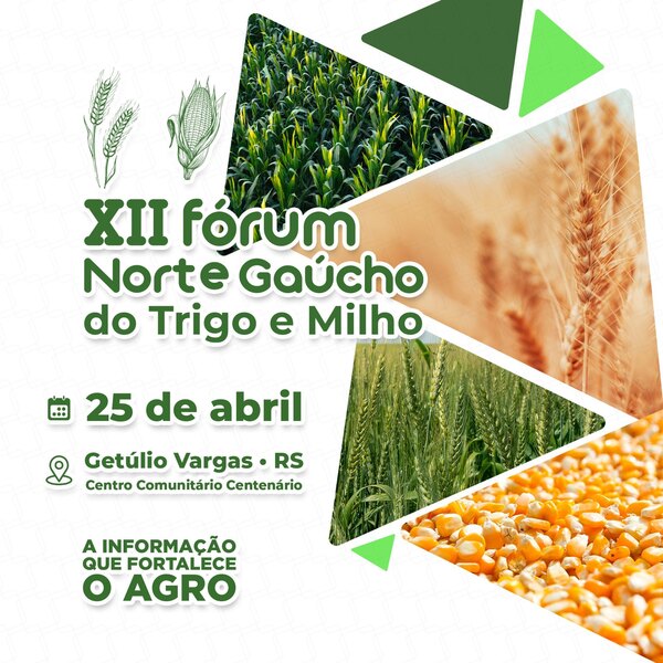 XII Fórum Norte Gaúcho do Trigo e do Milho: evento reunirá especialistas para debater desafios e oportunidades do setor