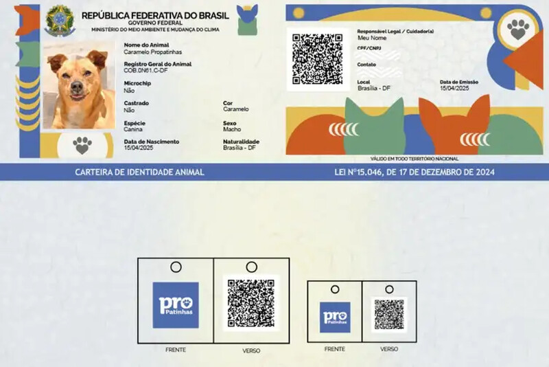 Cães e gatos já podem ter o seu próprio RG Animal