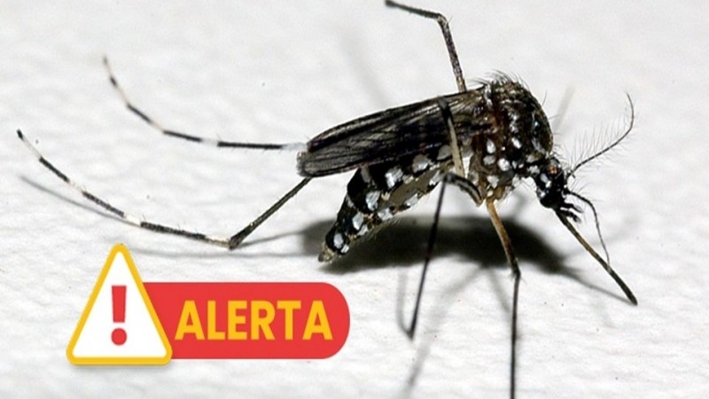 https://www.auonline.com.br/upload/noticias/2025/04/md_758220f8d433fcb8249551817dddf65f.jpg