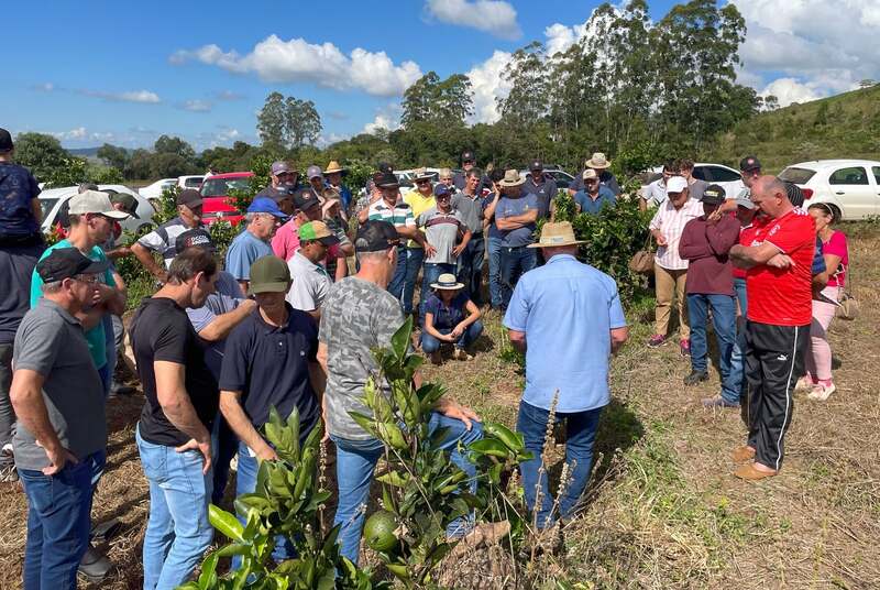 Itatiba do Sul celebra abertura da colheita da laranja com Dia de Fomento à Citricultura