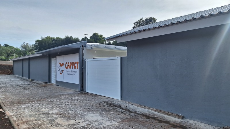 Comunidade de Erechim recebe Parque Pet para cães e gatos no aniversário do município