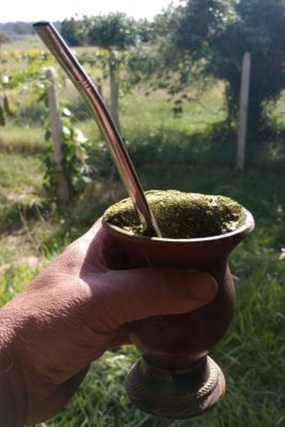 https://www.auonline.com.br/upload/noticias/2025/04/md_f7fcddbef2a179a88a375868521bb917.jpg