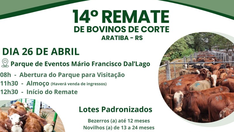 Acompanhe ao vivo a transmissão do 14º Remate de Gado de Corte de Aratiba