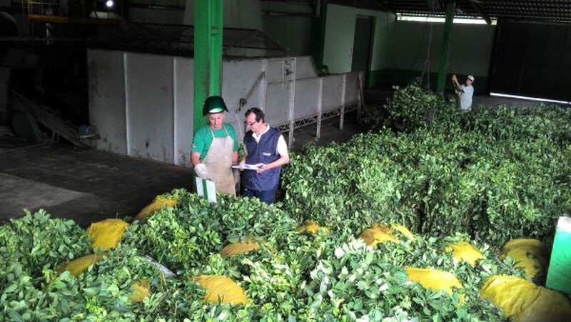 https://www.auonline.com.br/upload/noticias/2025/05/md_1d8d0f04116cd1927220cbd10b09715d.jpg