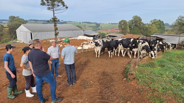 Erechim reforça incentivo para produção leiteira