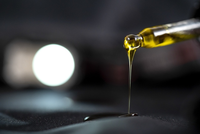 Vamos falar sobre cannabis medicinal? Audiência pública acontece dia 13 na Câmara de Vereadores