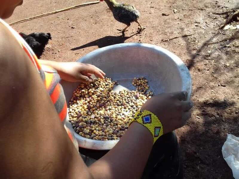 Programa de Aquisição de Alimentos (PAA) Indígena está com as inscrições abertas no RS