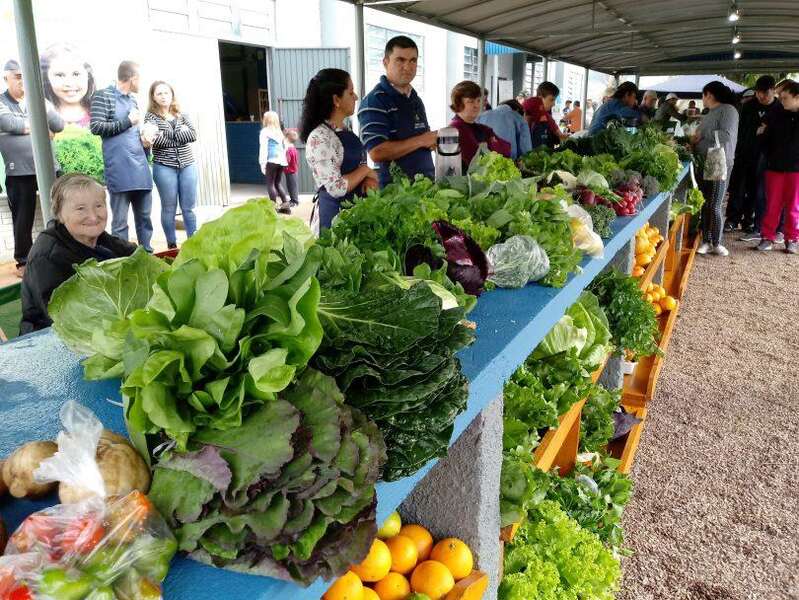 Emater/RS-Ascar: 70 anos promovendo o acesso a alimentos saudáveis no campo gaúcho