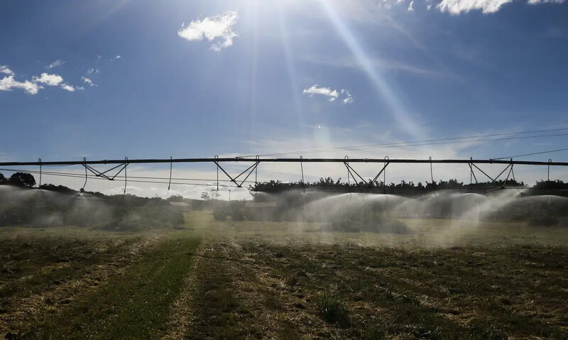 Na véspera do feriado, governo corta seguro rural e aumenta tensão com o agro