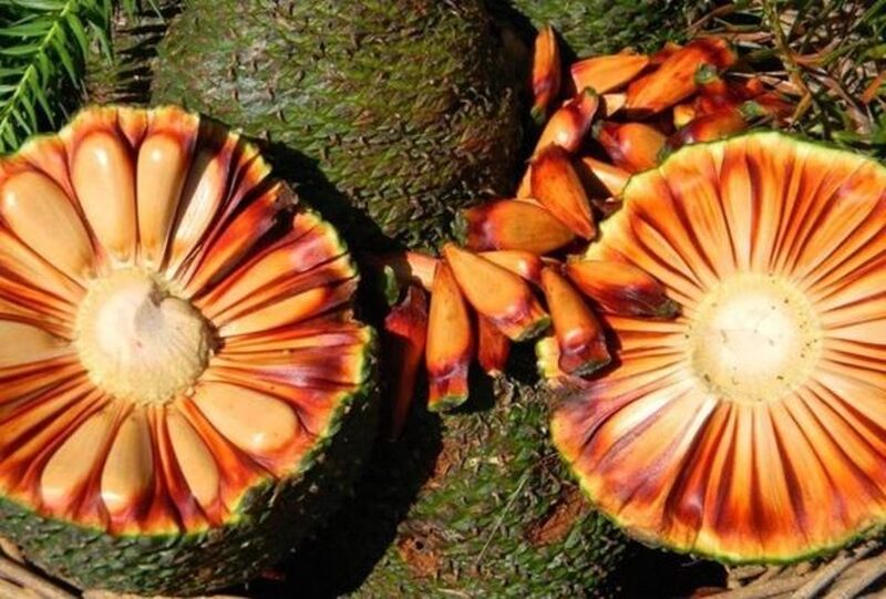 https://www.auonline.com.br/upload/noticias/2025/06/md_e90526405cc0308b8c1fdb3a61fc67d6.jpg
