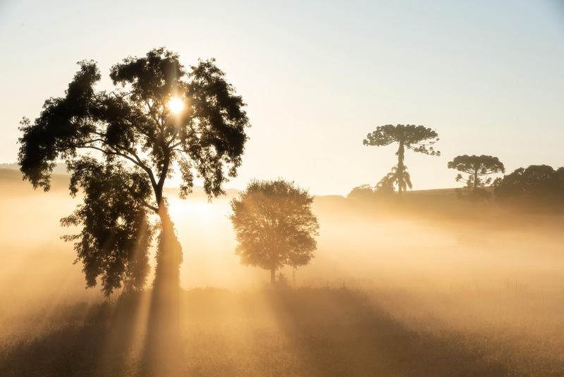 Fotógrafo gaúcho se destaca em concurso internacional de paisagens com neblina