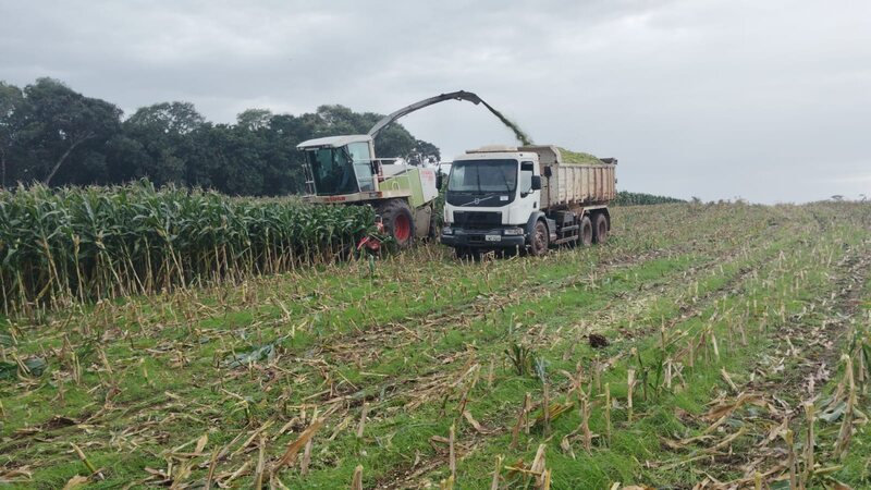 Governo de Entre Rios do Sul concede Desconto de 50% nas Dívidas de Produtores Rurais