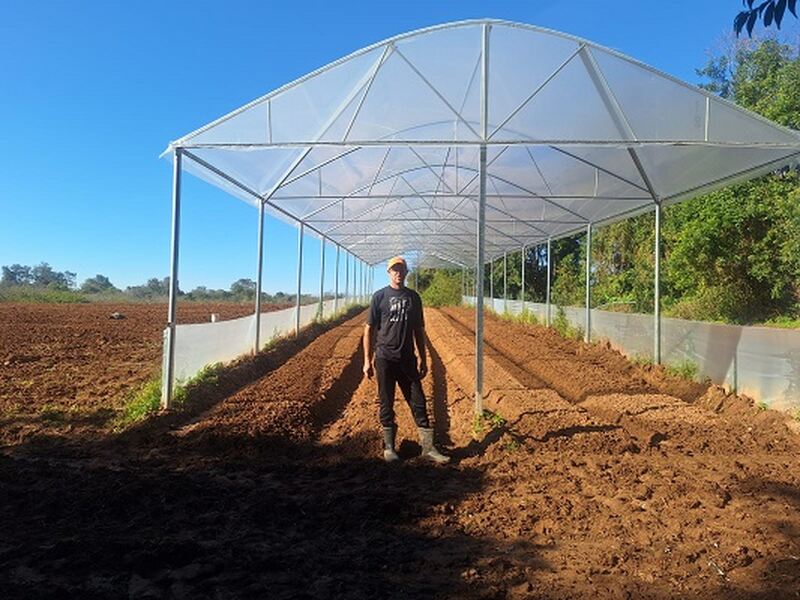 Horticultura gaúcha se destaca pela diversidade e dinamismo na produção de frutas, hortaliças e flores 