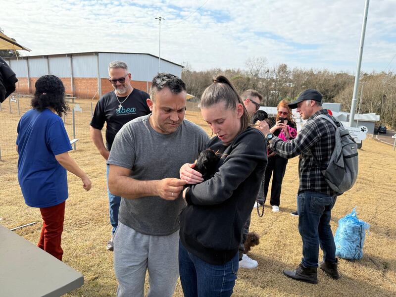 Feira de Adoção de Cães mobiliza comunidade no Parque Pet em Erechim