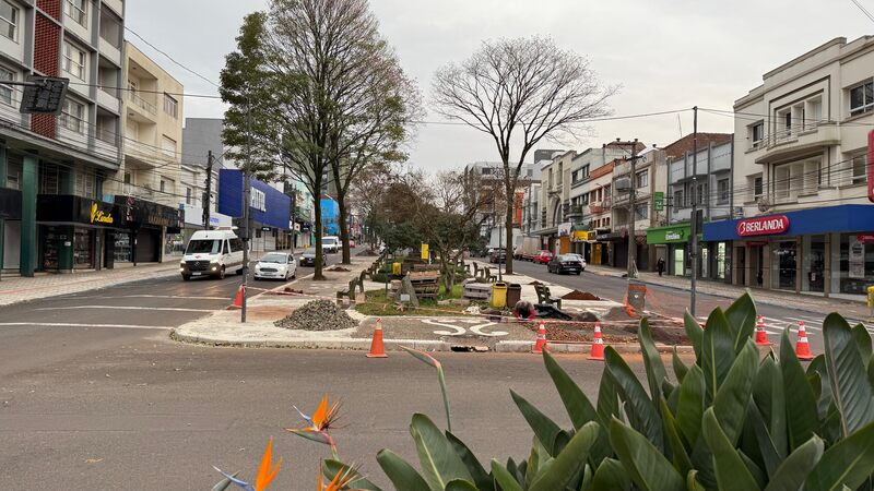 Revitalização da Avenida Maurício Cardoso exige retirada de árvores com risco estrutural