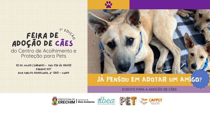 Feira de Adoção de Cães acontece neste sábado em Erechim