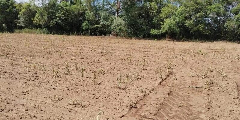 Governo federal cria grupo de trabalho para tratar do endividamento de produtores rurais no RS