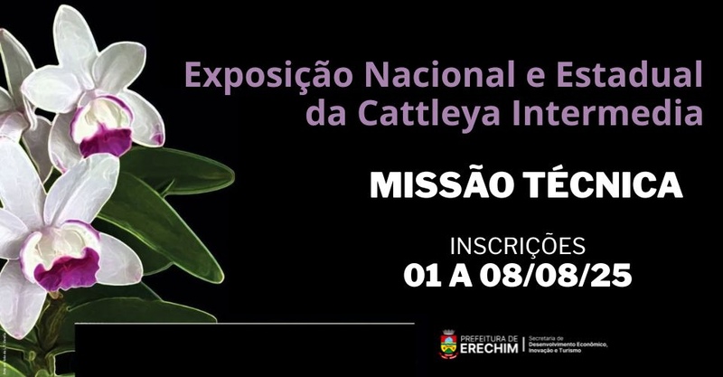 https://www.auonline.com.br/upload/noticias/2025/08/md_6cdb8d1db730e81b915cc2d85c26ebfe.jpg