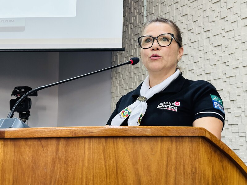 Vereadora propõe Semana Municipal de Prevenção ao Suicídio e Automutilação em Erechim
