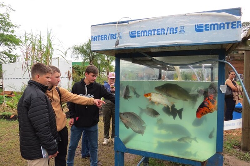  Expointer 2025: Emater/RS-Ascar ensina como ter sucesso na criação de peixes 