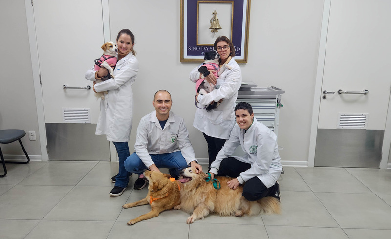 https://www.auonline.com.br/upload/noticias/2025/09/md_97ed2ddc1f9c90990f6a0bc367303cd9.jpg