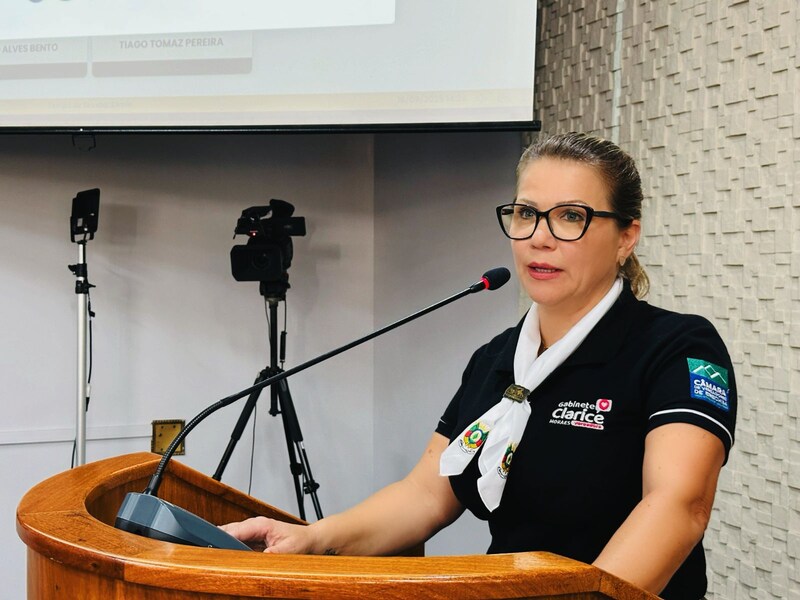 Vereadora solicita levantamento de veículos abandonados nas vias públicas de Erechim
