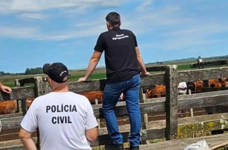 https://www.auonline.com.br/upload/noticias/2025/09/md_e18dc995b9d68912a55e36cbcb697e0e.jpg