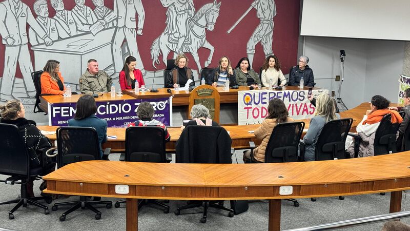 Comissão da Câmara dos Deputados visita Erechim para tratar da prevenção e atendimento às mulheres vítimas de violência