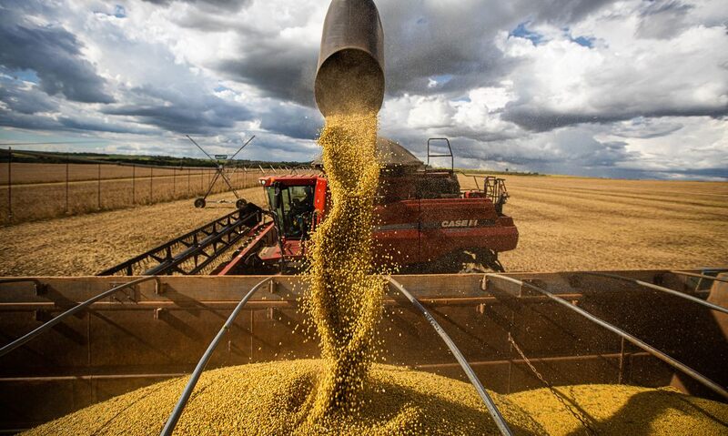 RS deve colher 22,4 milhões de toneladas de soja e se consolidar como segundo maior produtor do país