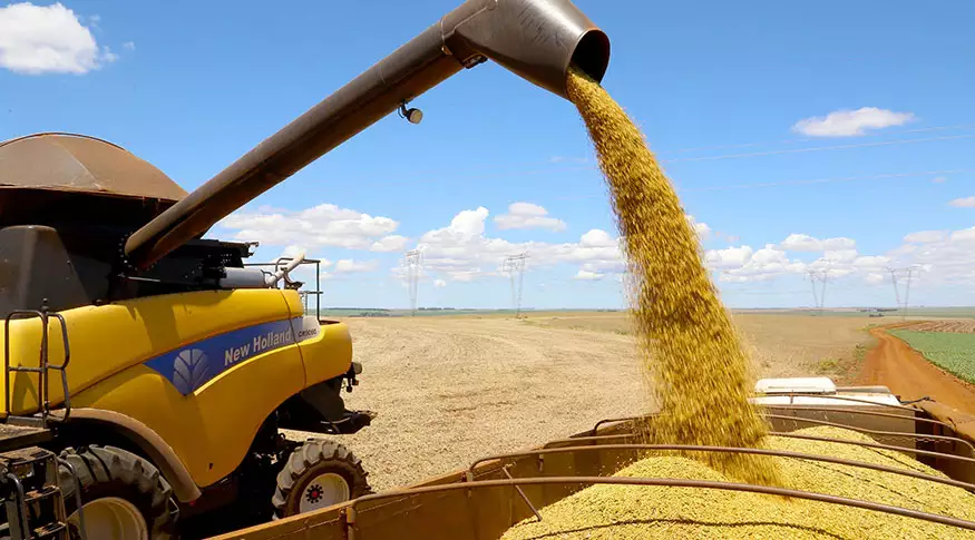Brasil supera recorde histórico e exporta mais soja que em todo 2023