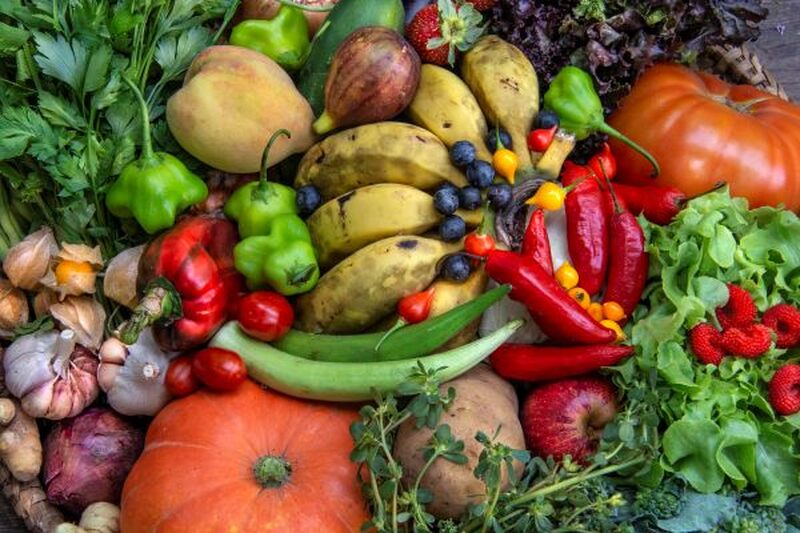 Semana da Alimentação destaca caminhos sustentáveis por comida de verdade para todos