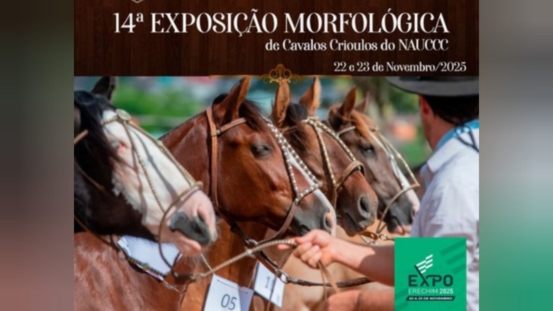 Cavalo Crioulo será destaque na Expo Erechim 2025 com provas e exposição morfológica promovidas pelo NAUCCC