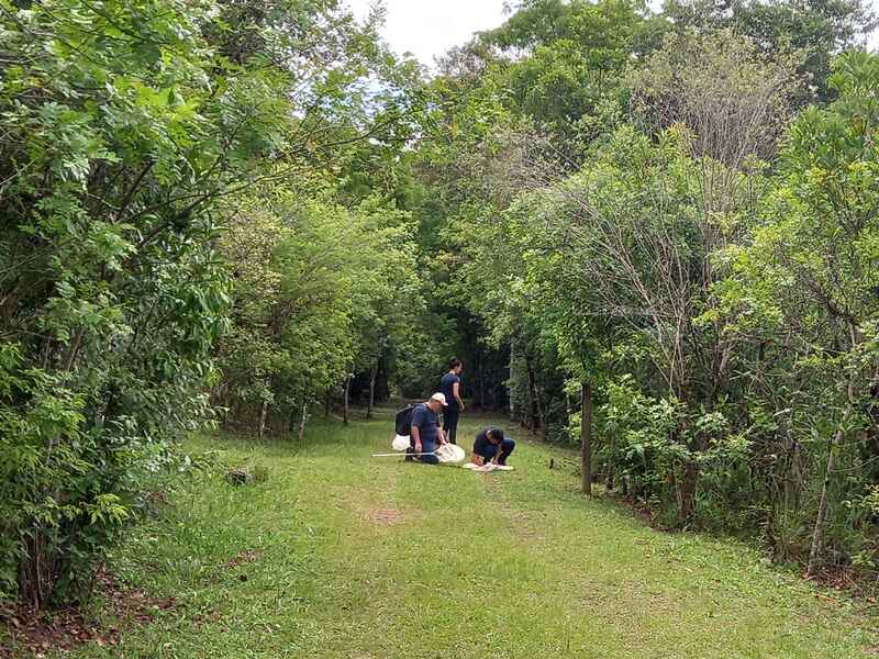 Imersão em Ecologia de Campo qualifica formação de mestres da URI
