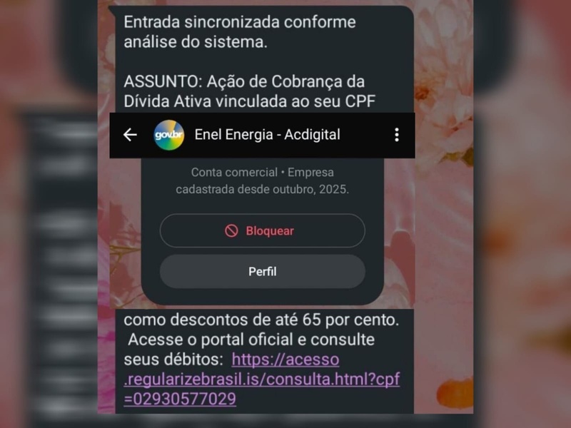 Fique atento: Golpe no WhatsApp usa Enel e gov.br para enganar consumidores