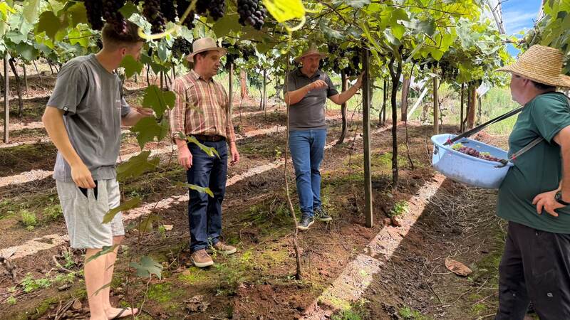 Programa Pró-Jovem Rural fortalece permanência da juventude no campo e impulsiona a produção sustentável em Erechim
