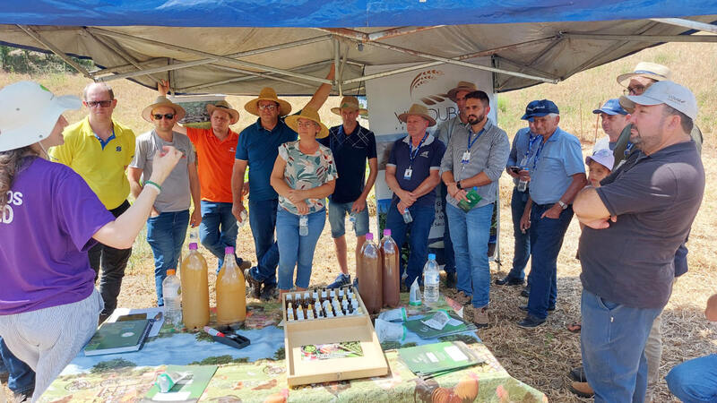Cooperativa Nossa Terra lidera estratégias de renda no Dia de Campo do Feijão em Erechim