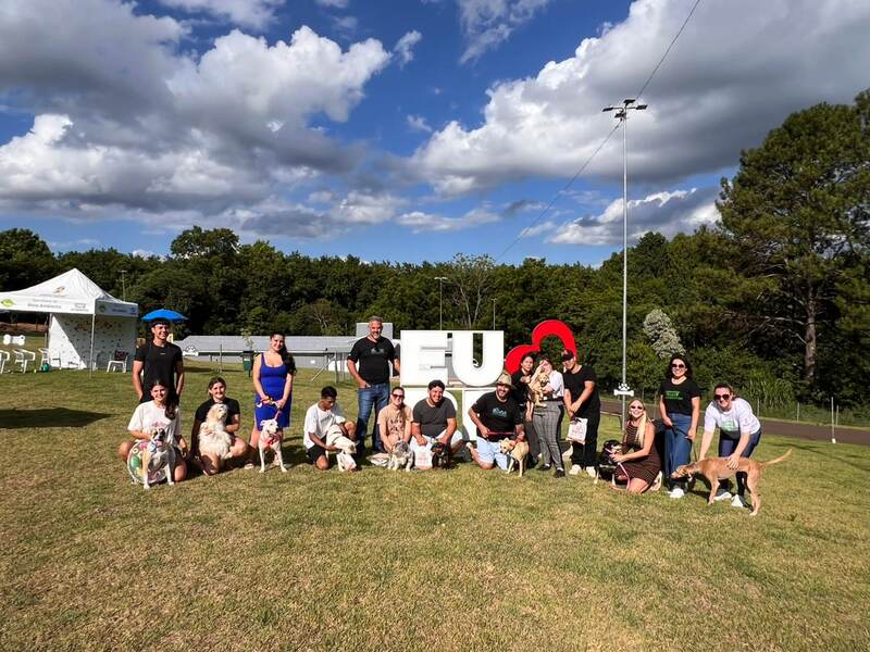 Pool Party da Adoção aproxima comunidade e garante nova chance para cães em Erechim