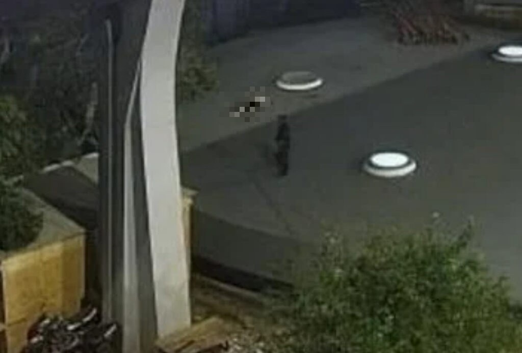 Motociclista morre após cair de viaduto no Centro Histórico de Porto Alegre