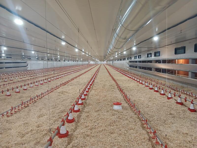 Com apoio público, avicultura avança e Aratiba projeta 18 novos aviários em 2026