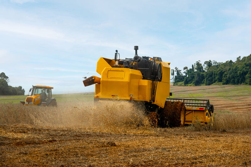 Consórcio agro cresce como alternativa para produtores rurais