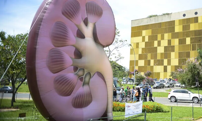 OMS reconhece doença renal crônica como prioridade mundial de saúde