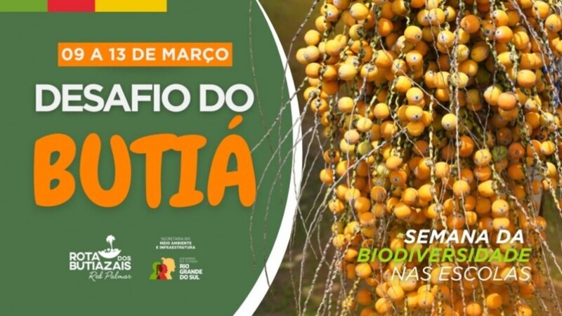 Desafio do Butiá 2026 abre inscrições para escolas gaúchas