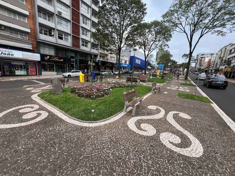 Revitalização dos canteiros da Avenida Maurício Cardoso valoriza paisagismo histórico de Erechim