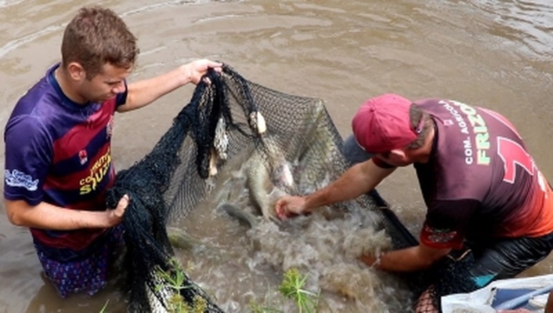 Piscicultura intensifica manejo para melhor produção na Semana Santa