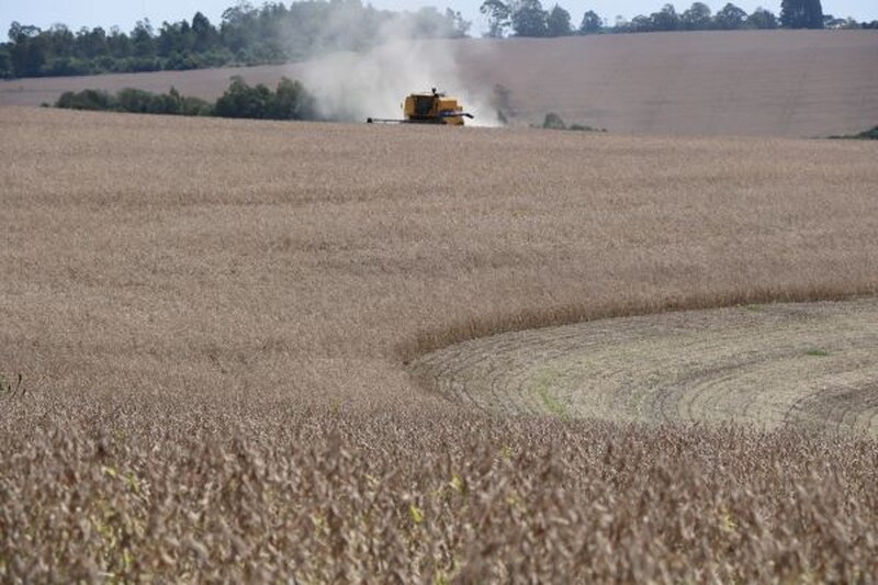 Colheita da soja avança e atinge 10% da área no RS