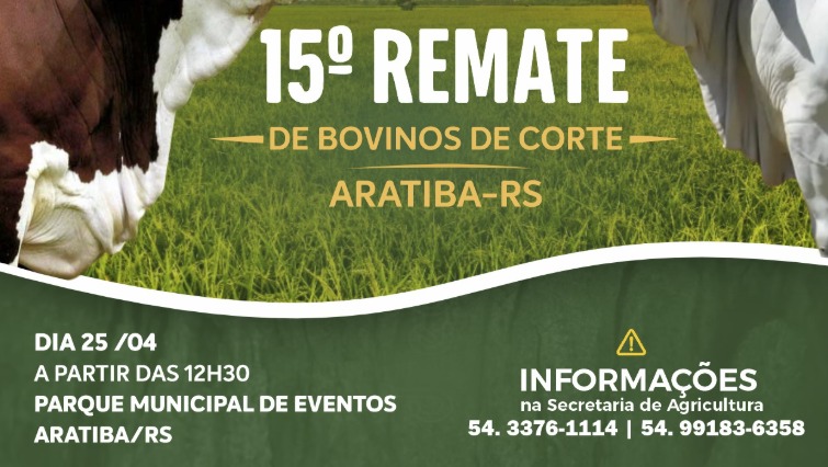 3A Leilões abre agenda 2026 com remate de mais de 600 bovinos em Aratiba