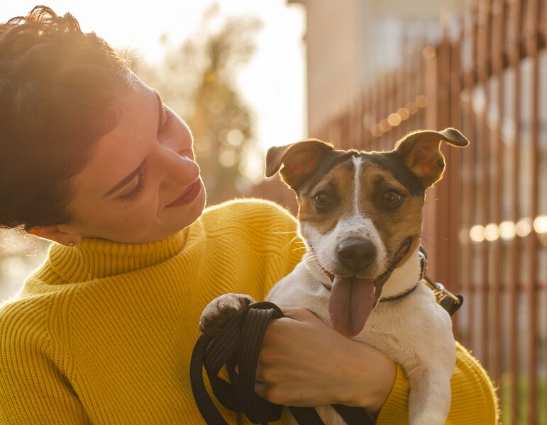 Nova lei garante guarda compartilhada de pets após separação