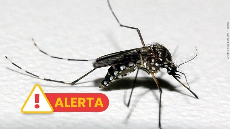 RS confirma primeira morte por dengue em 2026 e reforça alerta à população