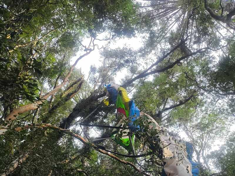 Homem morre após queda de ultraleve em área de mata em Guaporé
